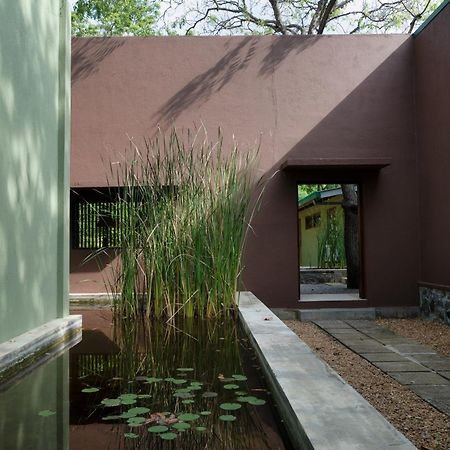 فيلا Neem Tree House كيريندا المظهر الخارجي الصورة