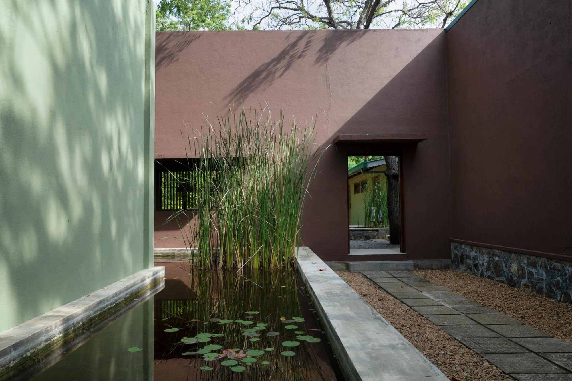 فيلا Neem Tree House كيريندا المظهر الخارجي الصورة